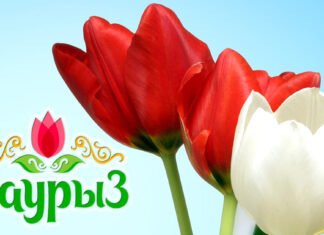 So feiert Kasachstan Nauryz