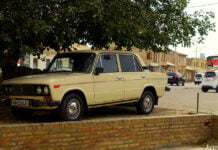 Foto der Woche: Ein treuer Gefährte