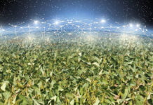 Landwirtschaft 4.0: Ein profitables Geschäft auf fruchtbarem Boden