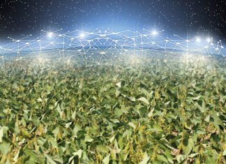 Landwirtschaft 4.0: Ein profitables Geschäft auf fruchtbarem Boden