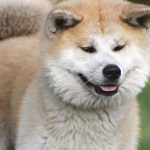 Video thumbnail for youtube video nflsz4sq4dk