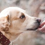 Video thumbnail for youtube video b5pq5dl47rk