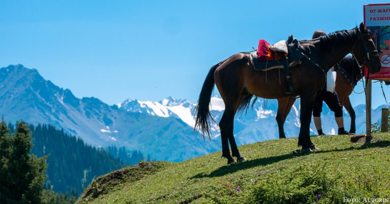 Foto der Woche: Pferde in Zentralasien –  Tradition und Pragmatismus