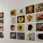 36_Apfelausstellung_01