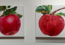 Der Apfel im Portrait