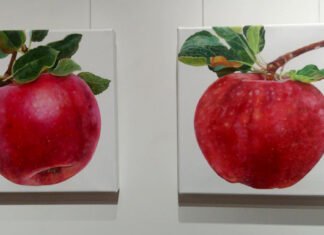 Der Apfel im Portrait