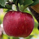 Video thumbnail for youtube video kc99gqc8tw0