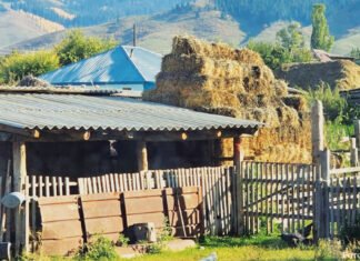 Der richtige Umgang mit dem Welterbe: Ökotourismus in Zentralasien Der Ausblick aus einem Gästehaus in der Almaty Region