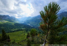 „Bei uns ist Wasser Gold“. Ökologische Herausforderungen in Ostkasachstan