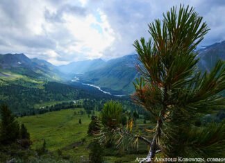 „Bei uns ist Wasser Gold“. Ökologische Herausforderungen in Ostkasachstan