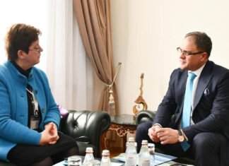 Deutschland und Kasachstan wollen Beziehungen weiter vertiefen