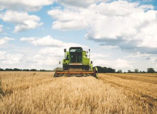 „Deutsche Firmen sind eingeladen, in Kasachstan zu investieren“