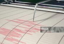 Akim von Almaty verspricht neues Frühwarnsystem nach Erdbeben