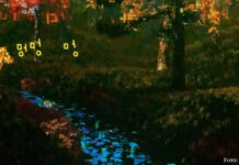 Auf der Welle der Gemeinsamkeit