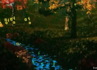 Auf der Welle der Gemeinsamkeit