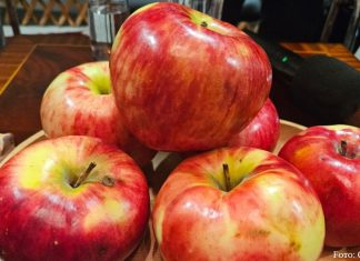 Der Apfel unterm Schanyrak