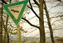 Vereinbarkeit von Naturschutz und Tourismus – Chance und Herausforderung für Kasachstan