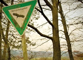 Vereinbarkeit von Naturschutz und Tourismus – Chance und Herausforderung für Kasachstan