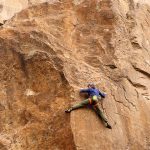 46_Bodenständig in der Höhe_01