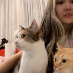 Video thumbnail for youtube video fnru4-7vtkg