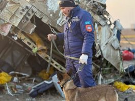 Notlandung im Chaos: Eine Tragödie mit 38 Opfern und vielen offenen Fragen