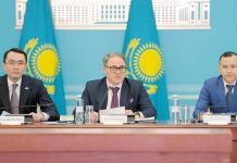 Drei neue Visa für Kasachstan