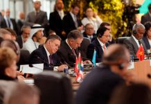 Kasachstan bringt Umwelt- und Gesundheitsanliegen beim BRICS-Gipfel ein