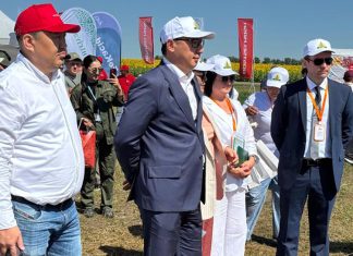 Feldtag im Osten: Landwirte setzen auf Innovation und Nachhaltigkeit