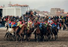 Der wilde Ritt um die tote Ziege