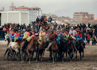 Der wilde Ritt um die tote Ziege