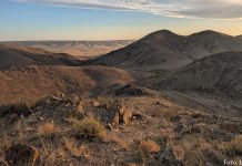 Auf den Spuren einer vergangenen Zeit: Mit den Petroglyphenjäger:innen durch die kasachische Steppe
