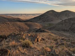 Auf den Spuren einer vergangenen Zeit: Mit den Petroglyphenjäger:innen durch die kasachische Steppe