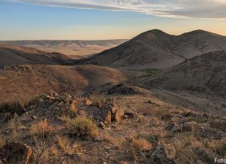 Auf den Spuren einer vergangenen Zeit: Mit den Petroglyphenjäger:innen durch die kasachische Steppe