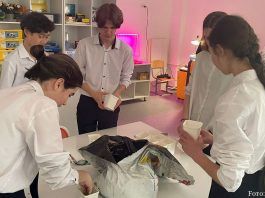 Kasachstanische Schüler entwickeln Projekte zur Anpassung an den Klimawandel