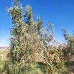 41_Wasser – eine neue Herausforderung für Kasachstan_01