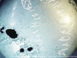 Die silberne Inschrift des Goldenen Kriegers