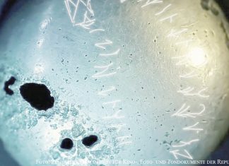 Die silberne Inschrift des Goldenen Kriegers