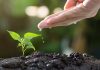 Wie das UfU die Weizensteppe Kasachstans in ein Klimalabor verwandelt