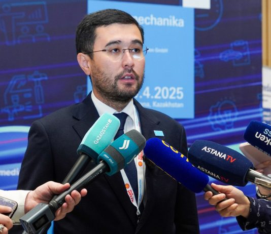 Zwischen Marken und Wandel: Anuar Malik über den Automarkt in Kasachstan